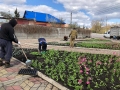 Сегодня в Ельце начались работы по посадке цветников