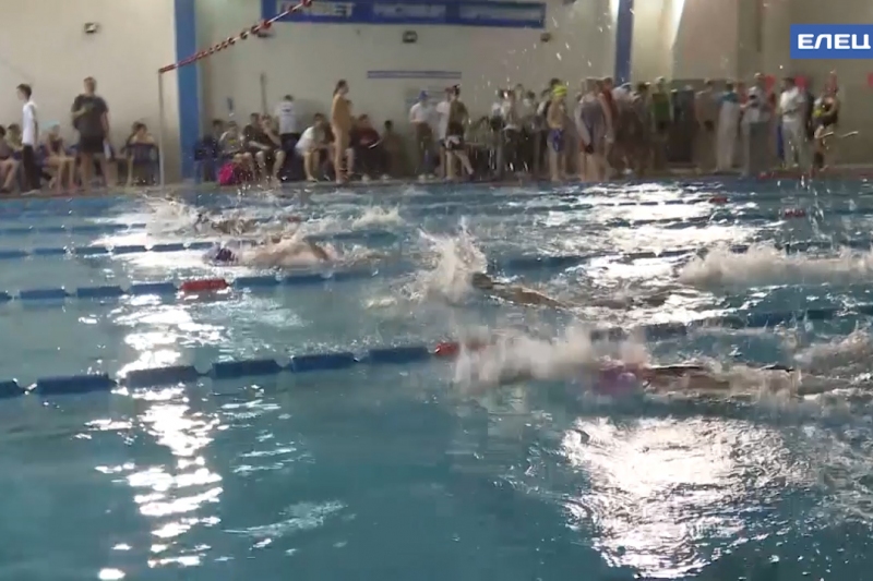 К новым рекордам: в Ельце прошло открытое первенство города по плаванию