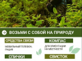 Безопасность в лесу: прогулки с умом