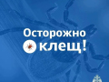 Безопасность выходного дня: отдых на природе