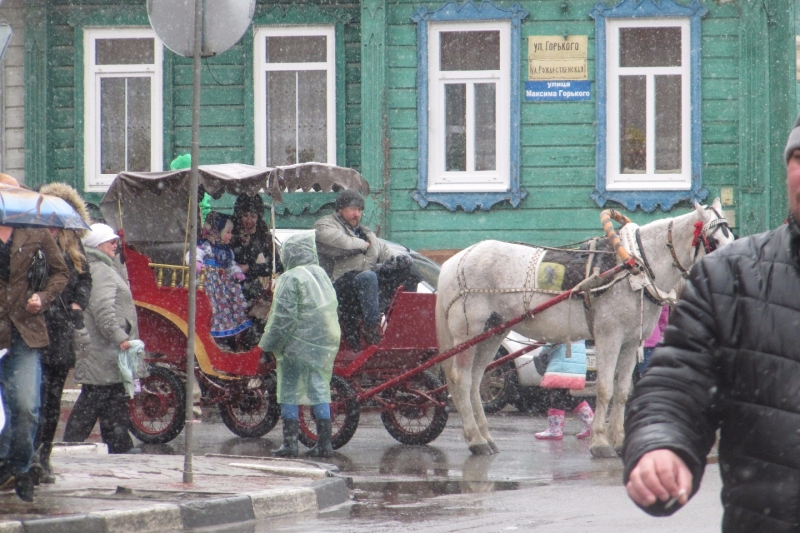 IMG_2246_катание на лошадях