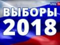 В Ельце явка на выборах Президента России приближается к отметке 50%