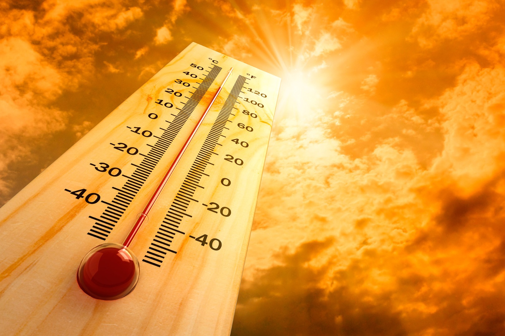МЧС объявило штормовое предупреждение в Курской области: завтра ожидается сильная жара до +35-36ºС